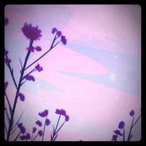 Meet your Posher, Phoebe and jen